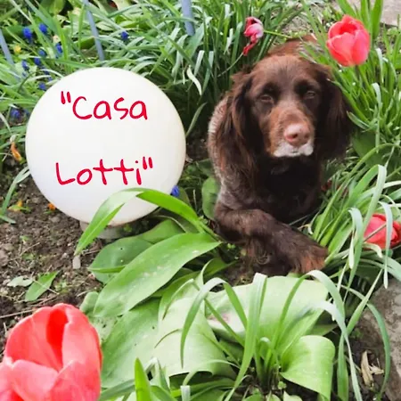 Casa Lotti Appartamento Sangerhausen