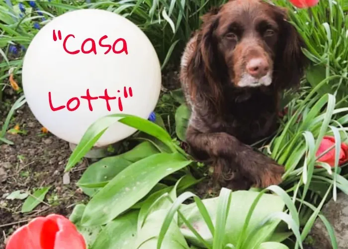 Casa Lotti Apartmán Sangerhausen